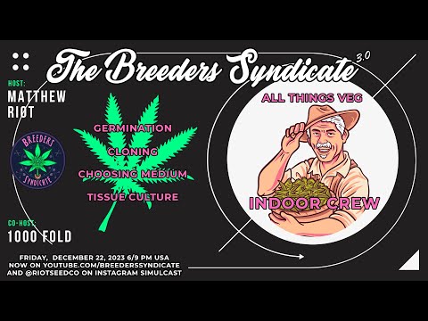 Indoor Crew: Germination, seedling care, vegetative stage S10 E03