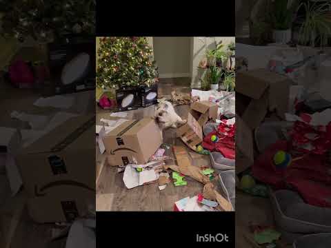 Before and after gift opening