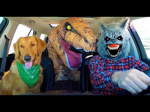 Wolf Surprises Puppy & T-Rex with Car Ride Chase!