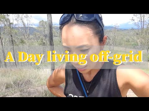 ゼルダとの1日、ダムの様子、果樹たち/ Off-grid life at the dam with dog