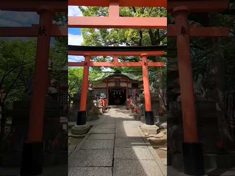 Exploring a Japanese Shinto Shrine - Travel Japan