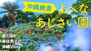 【沖縄旅行観光】よへなあじさい園が絶景すぎ！2020年6月情報