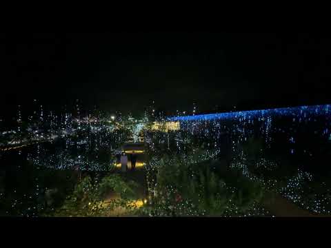 光のバラ園 -- 光の花の庭 Flower Fantasy 2024-2025  -- あしかがフラワーパーク / Ashikaga Flower Park (2024/10/25)