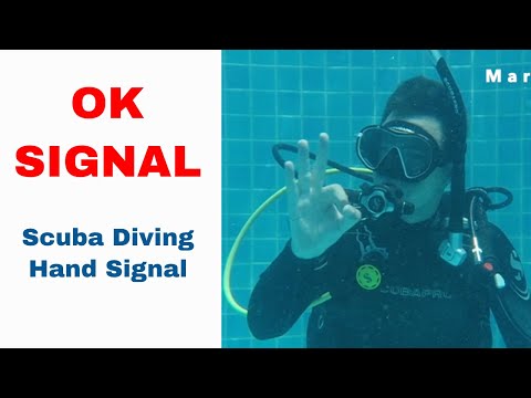 Ok Sign 👌 Scuba Diving Hand Signal