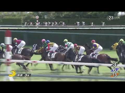 2022/09/25　モズライフセーバー　未勝利戦