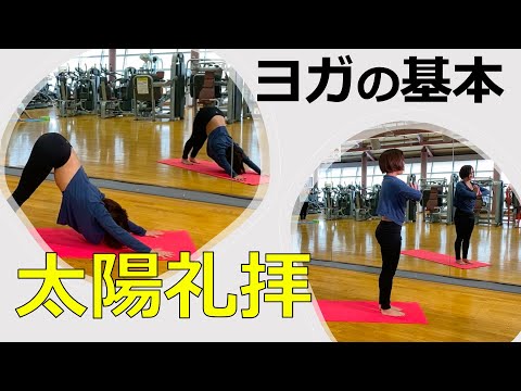 【ヨガ】ヨガの基本🧘‍♀️太陽礼拝🧘‍♂️