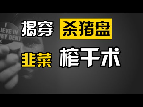 探秘杀猪盘内部：30天让你倾家荡产的完美情人骗局 | 大闲人贾白