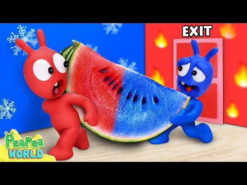 Best Of Hot vs Cold Challenge 🍉 Colorful Watermelon ❤️ Pea Pea World