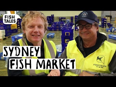 Visiting SYDNEY FISH MARKET Tour | Bart van Olphen