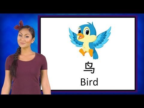 Learning Mandarin: Birds