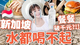 一盤海南雞飯就要500 元…新加坡美食吃一輪會不會破產😱要花多少錢… #新加坡 #旅遊 #美食 #推薦