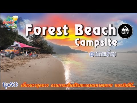 Forest Beach Campsite Ep80 #กางเต็นท์บนหาดทราย #เกาะช้าง #camper #ฟลอเรสบีชแคมป์ #camping