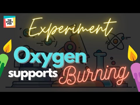 OXYGEN SUPPORTS BURNING | SCIENCE | EXPERIMENT | The Study Pod