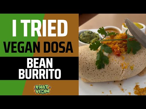 I Tried Vegan Dosa Burrito from ChocoalTree #vegan #foodlover #food #foodblogger #foodie #foodies