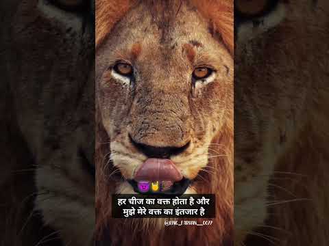 shayari || attitude status ||boy status ||terinding video || lion attitude status ||