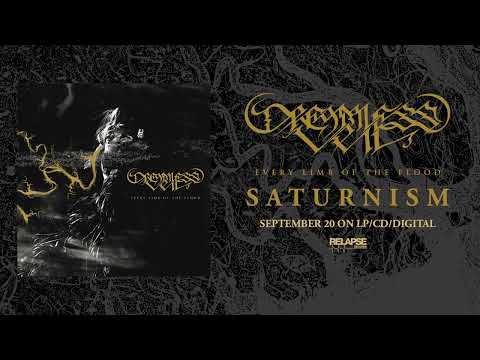 DREAMLESS VEIL - Saturnism (Official Audio)