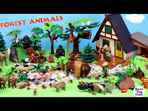 Forest Habitat Set with Playmobil Animal Figurines - Learn Animal Names for Kids