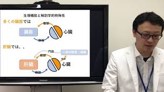 岩手医科大学／WebOC／医学部／肝臓：基礎医学から臨床を見てみると