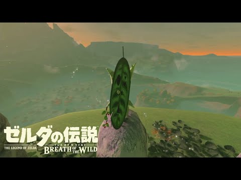 【ゼル伝探訪録】のんびり楽しむゼルダの世界【ゼルダの伝説 ブレスオブザワイルド】#17