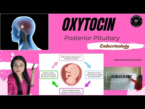 Oxytocin - Posterior Pituitary Hormone it's Physiology and Mechanism of Action