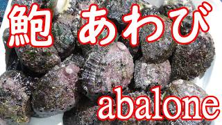 【アワビのさばき方と食べ方/abalon】☆アワビ下処理☆アワビレシピ☆