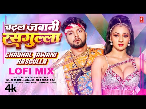 Lofi Mix By VDJ FLY,SKY THE SANGEETKAR चढ़ल जवानी रसगुल्ला | #Neelkamal Singh #Shilpi Raj #Namrita