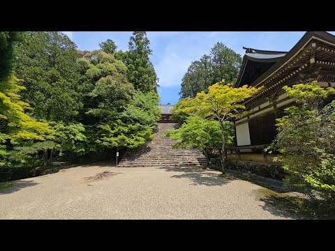 そうだ、京都行こうかしら。高雄三尾(神護寺、西明寺、高山寺)