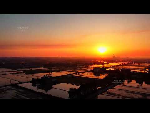 台湾、新屋の農村農地の空中写真(JEFF 4K VIDEO)Aerial shot of rural farmland in Xinwu, Taiwan#JEFF0007