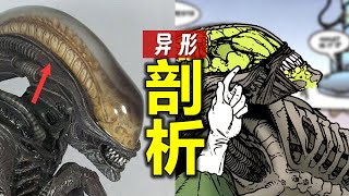 剖析“異形”：詳細瞭解這種生物的秘密，它到底完美嗎？