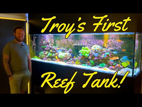 Troy's 2.4 meter long - FIRST REEF TANK!