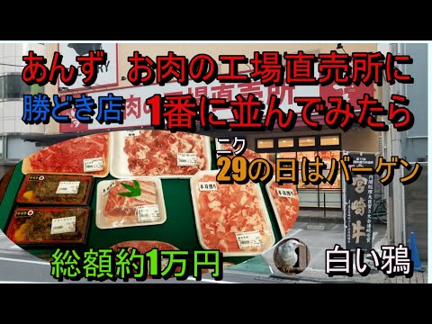 あんず　お肉の工場直売所に1番で並んでみたら