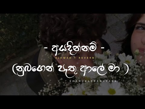 Ayadinnam perfectly slowed and reverbed | Ayadinnam Nubagen Ma Sama | Shanuka Ekanayaka |