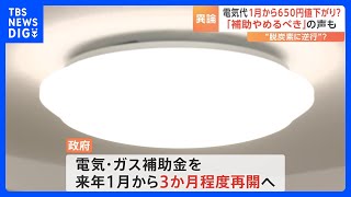 電気・ガス補助金を「来年1月から再開」で政府が調整　電気代が1月から650円値下がりか　しかし政府内から「補助やめるべき」の声が噴出…｜TBS NEWS DIG