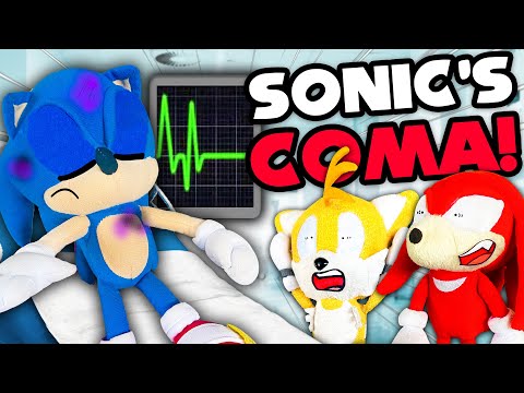 Sonic's Coma! - Sonic and Friends