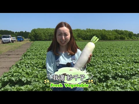 「Fresh Vegetable」旬の青森県産だいこんを紹介♪