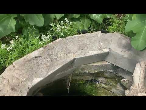 How we water our 1200 square foot geodesic dome greenhouse.