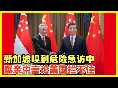 李显龙访中演讲，称中国影响力绝不可轻视！必须行动起来靠拢中国！东盟全面倒向中国，特朗普上台逆全球化！都在给自己谋后路！世界东升西降，新加坡人已看透一切，不跑快点好处都被东南亚穷国分光了！