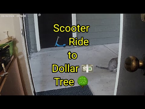 (1547) Scooter 🛴 Ride to Dollar 💵 Tree 🌳