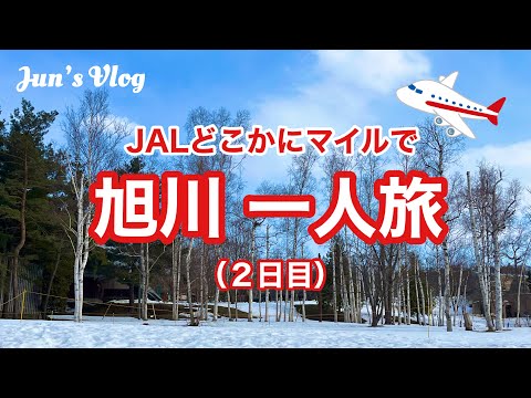 【北海道Vlog】JALどこかにマイルで旭川一人旅(２日目)