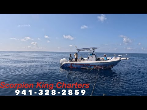 Scorpion king Charters #deepseafishing #gulfofmexico #scorpionkingcharters