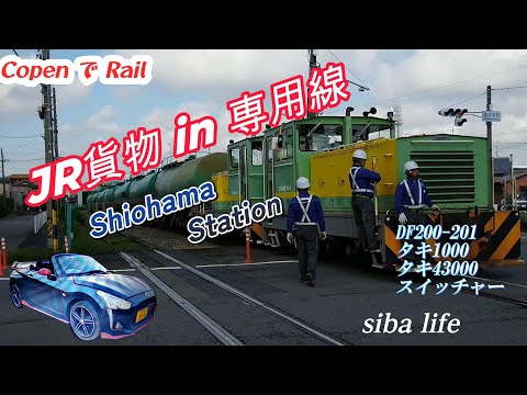 【貨物列車の入替作業】塩浜・JR貨物専用線を行くDF200・重連・タキ1000・タキ43000 連結、間近くで、2024.9.1 copen siba life #jr #貨物列車 #jr西日本