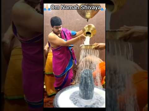 ఓం నమః శివాయ 🙏🏻🙏🏻 Hara hara mahadev 🙏🏻#omnamahshivaya #youtubeshorts