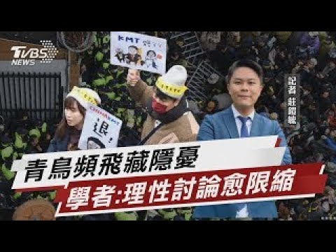 青鳥頻飛藏隱憂 學者:理性的討論愈限縮【TVBS說新聞】20241223