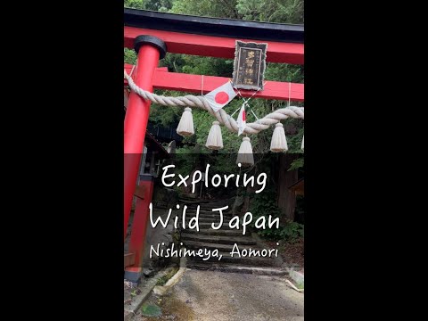 Exploring Aomori, Japan - Cool Shrine in Mountains with Nature Sounds #shorts