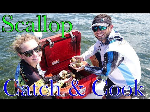 Scallop Catch & Cook | Crystal River | Joshua Taylor's Birthday Adventure