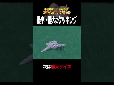 【大きさ比較】ケッキング編【ポケモンSV】#Shorts