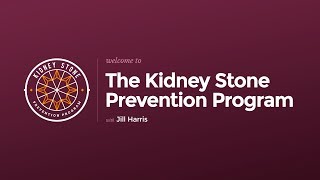 Kidney Stone Prevention Program