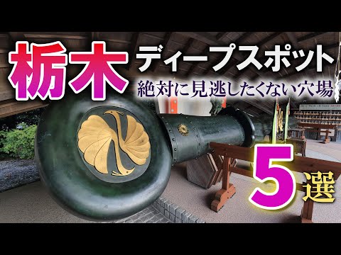 栃木のディープな穴場スポット5選/絶対に見逃したくない珍スポット/栃木観光旅行vlog