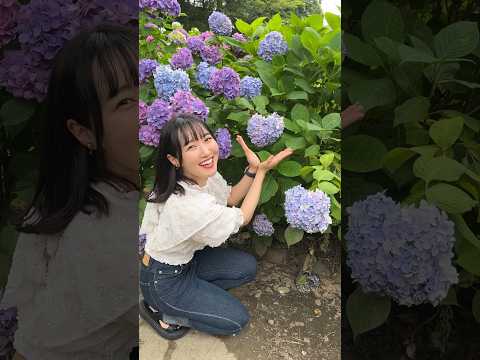 【お散歩】和歌山にはハートの紫陽花が咲いているらしい⌇heart-shaped hydrangea⌇#shorts #vlog #和歌山城