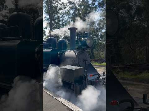 🇦🇺澳洲推薦旅遊景點Part 2 ! Puffing Billy’s Railway✨